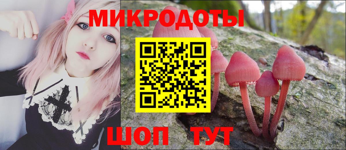 Щёлково  купить   Псилоцибиновые грибы мухоморы  Вход с VPN  Галлюциногенные грибы прущие грибы 
